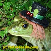 /home//u458753944/public_html/sourcegallery//Frogs/More bullfrogs/P6020117.JPG